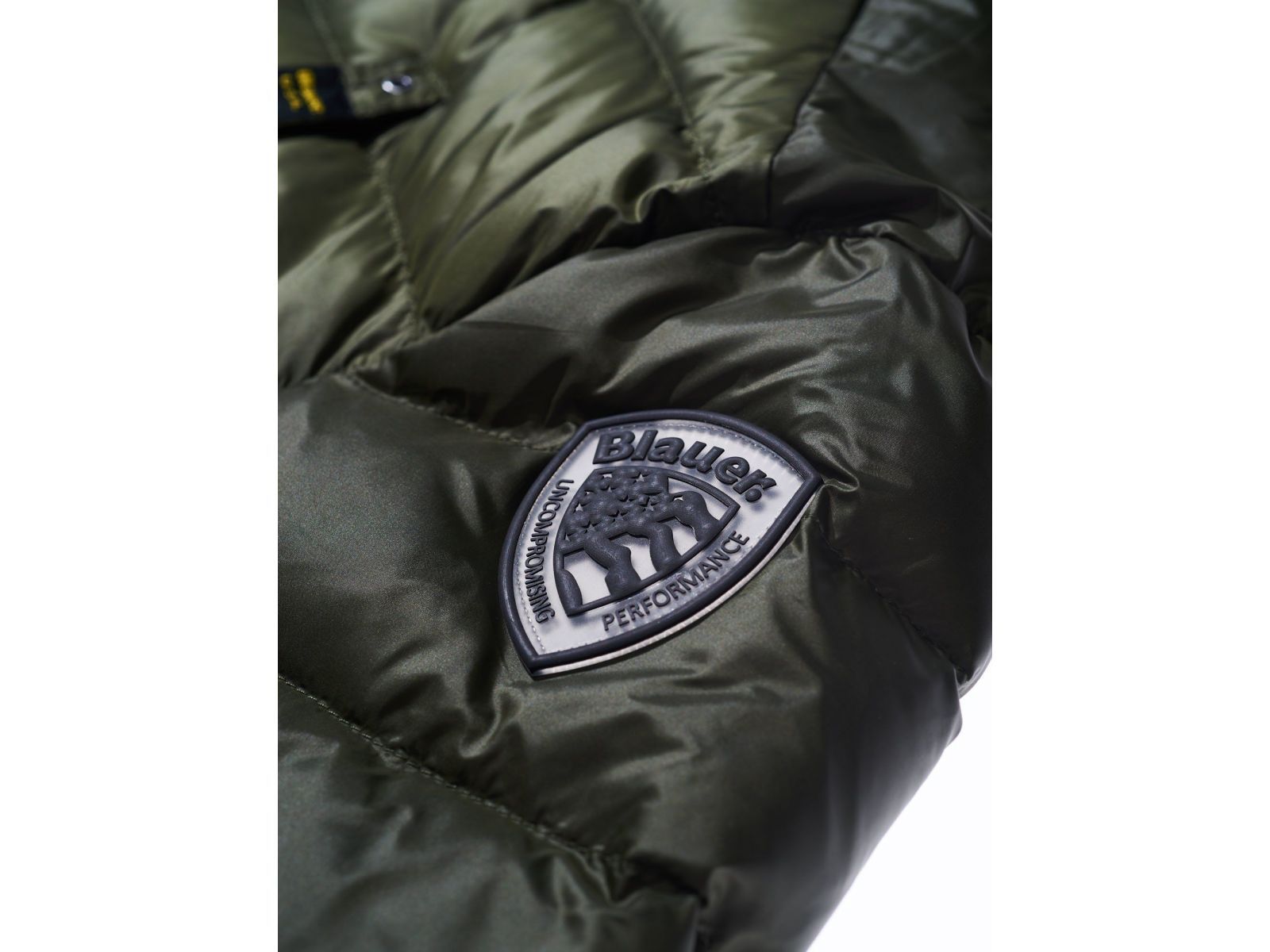 Пуховик Blauer RICCARDO зеленый