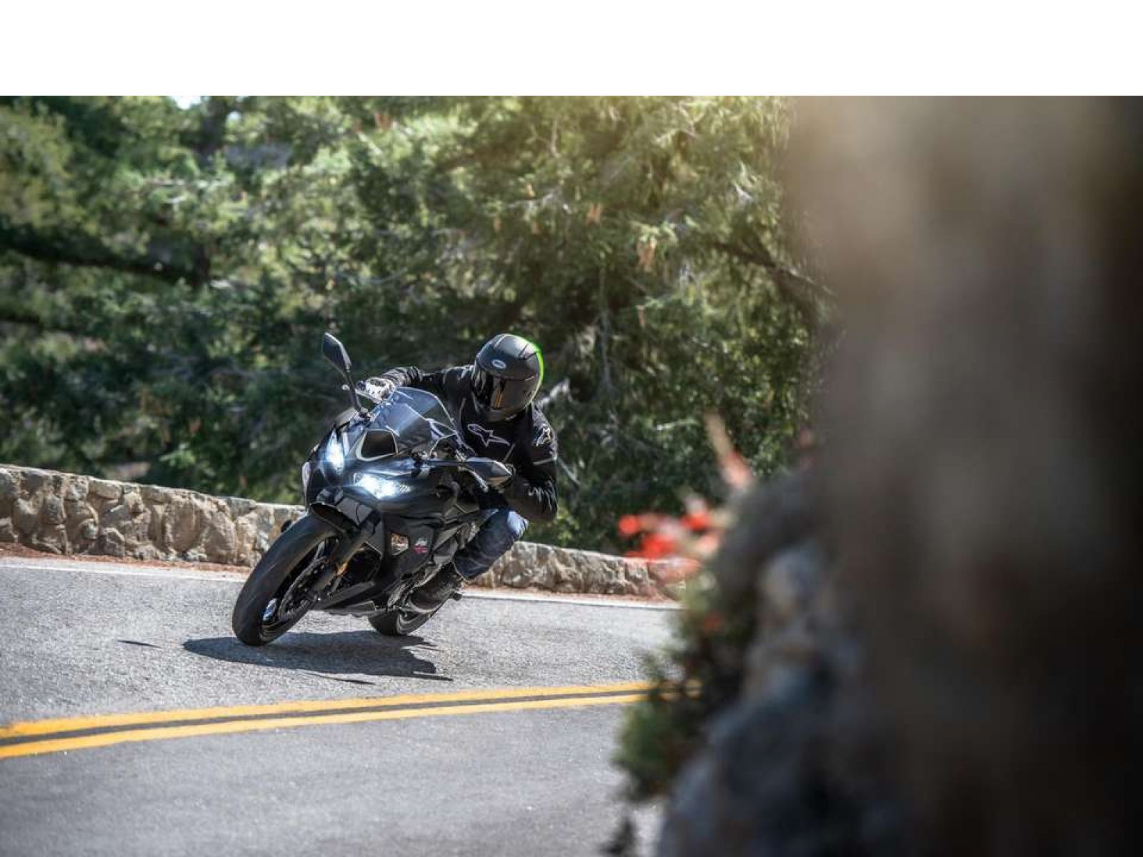 Мотоцикл Ninja 650 (Grey / Black) 2026