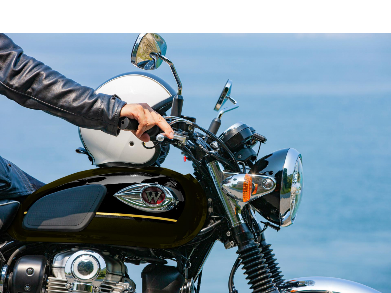 Мотоцикл KAWASAKI W800 (Metallic Brilliant Golden Black / Metallic Diablo Black) 2025