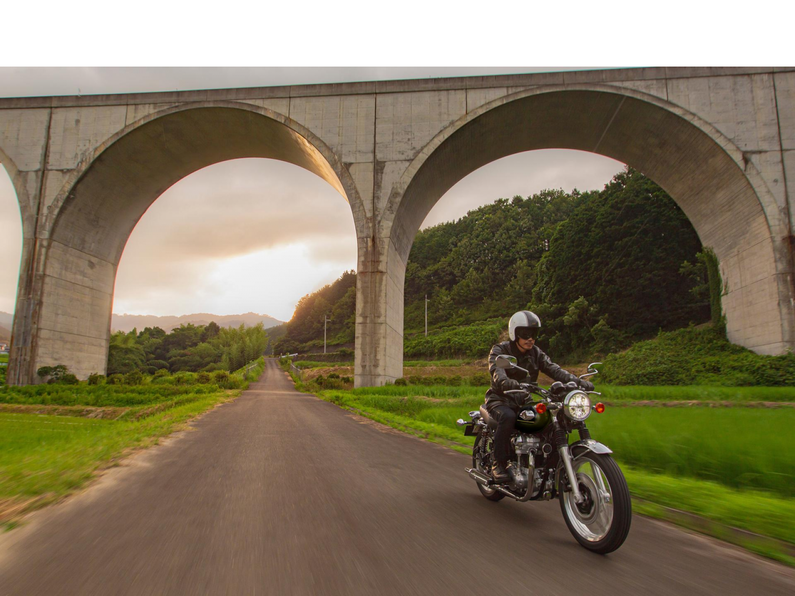 Мотоцикл KAWASAKI W800 (Metallic Brilliant Golden Black / Metallic Diablo Black) 2025