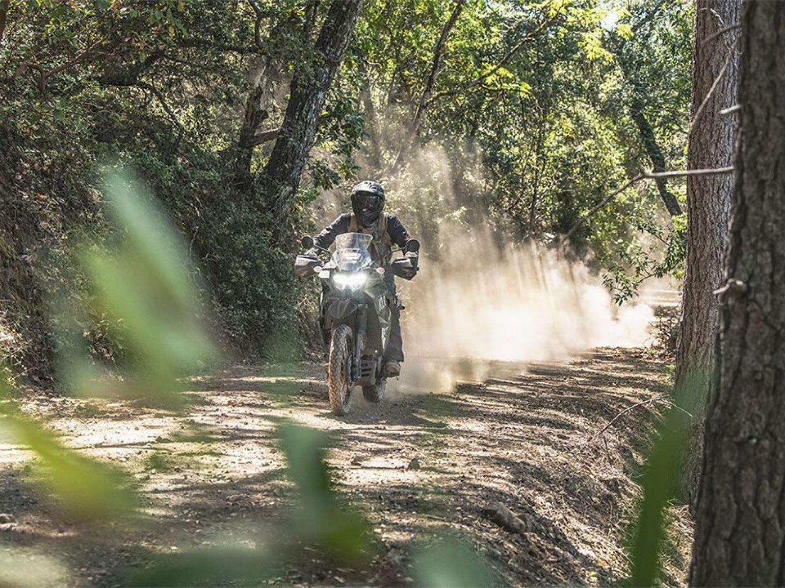 Мотоцикл KAWASAKI KLR®650 (Green) 2025