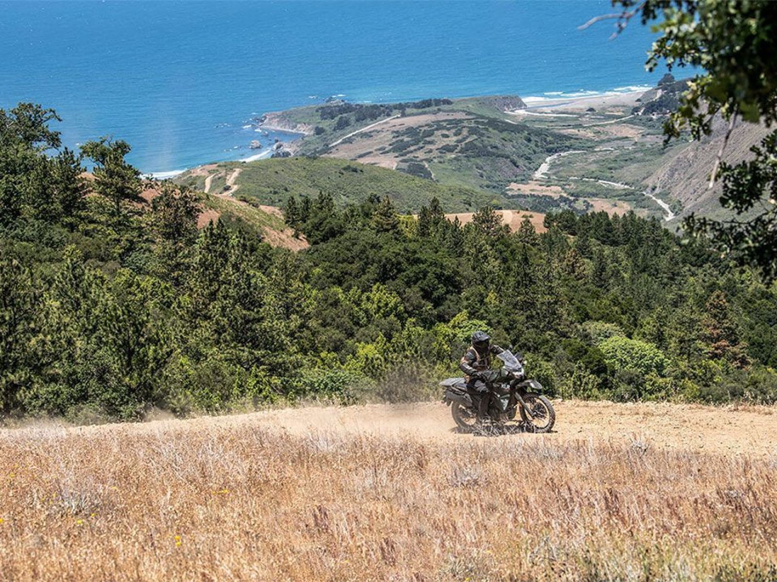 Мотоцикл KAWASAKI KLR®650 (Green) 2025