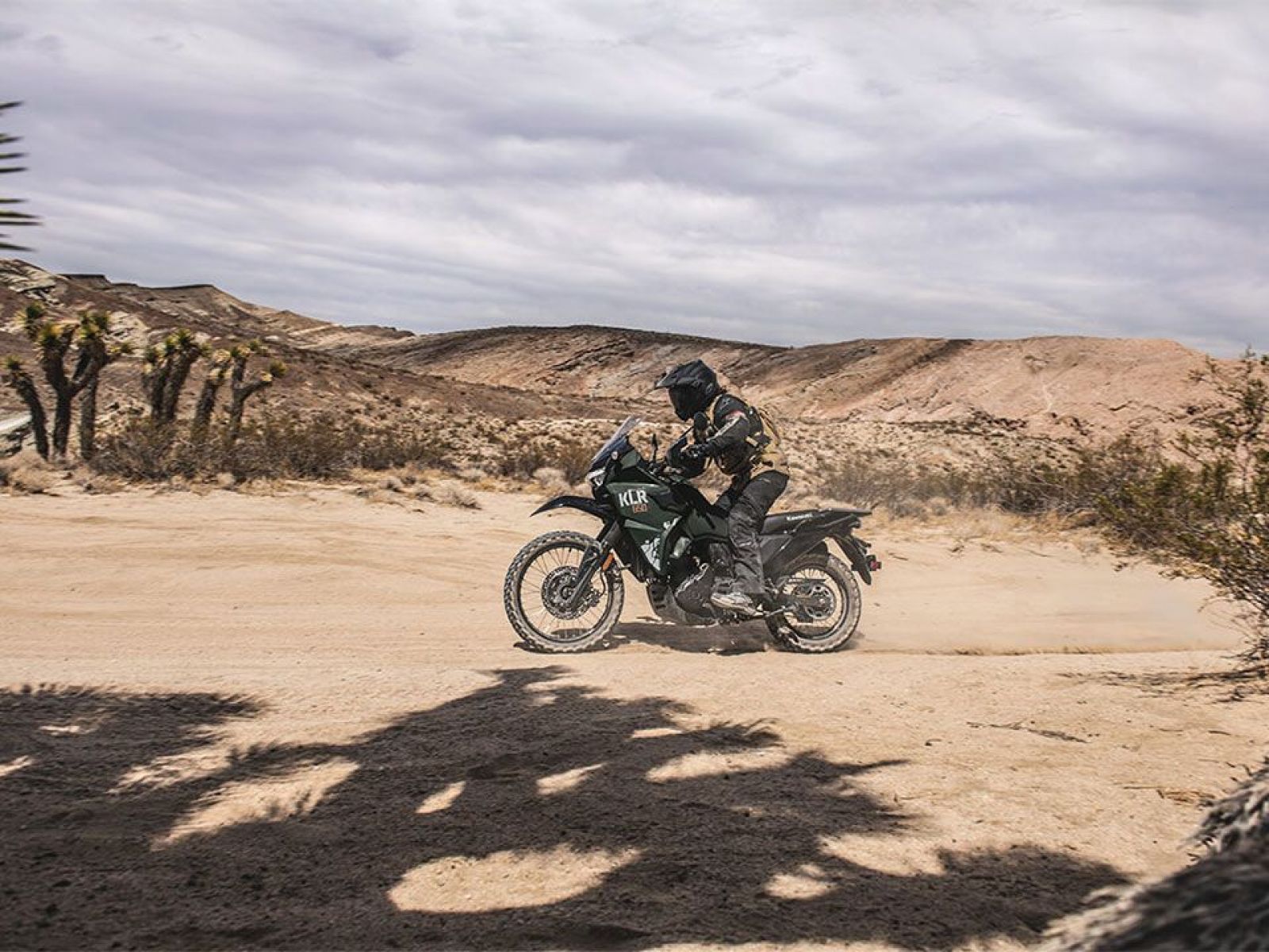 Мотоцикл KAWASAKI KLR®650 (Green) 2025