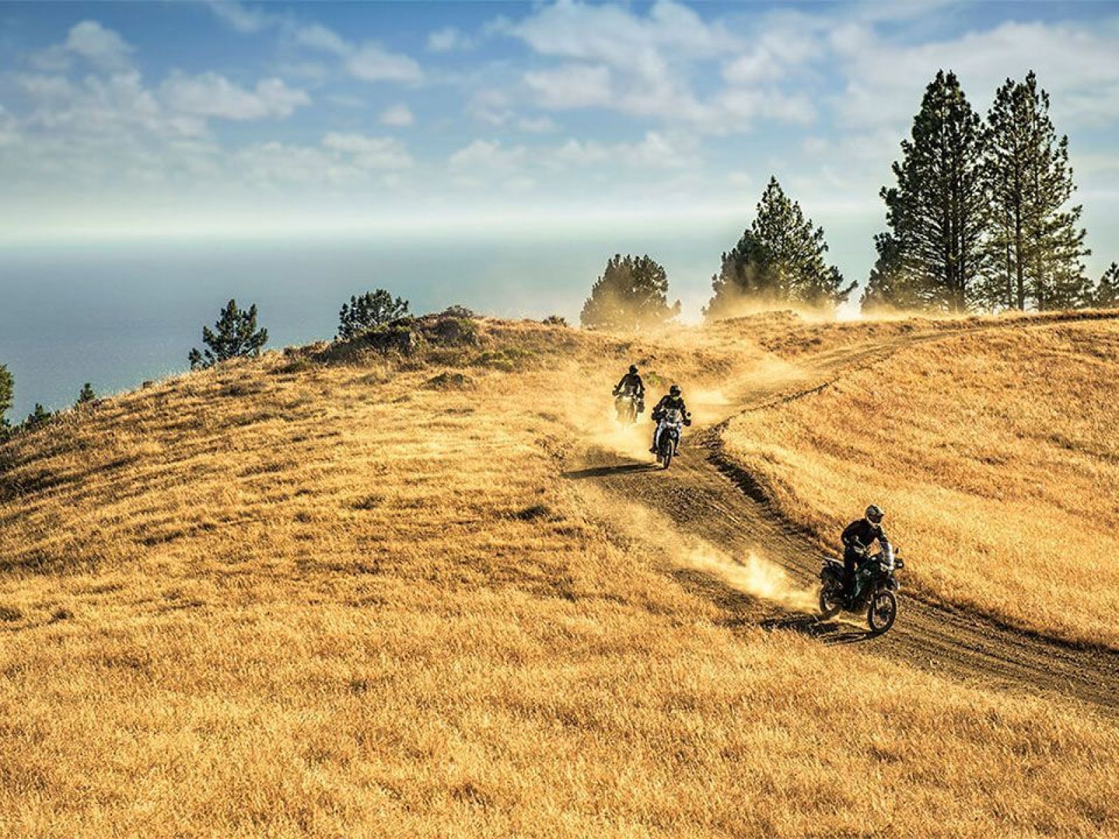 Мотоцикл KAWASAKI KLR®650 S (Green) 2025