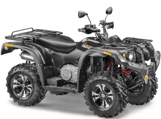 Квадроцикл STELS ATV 650YS EFI LEOPARD (Камуфляж) 2024