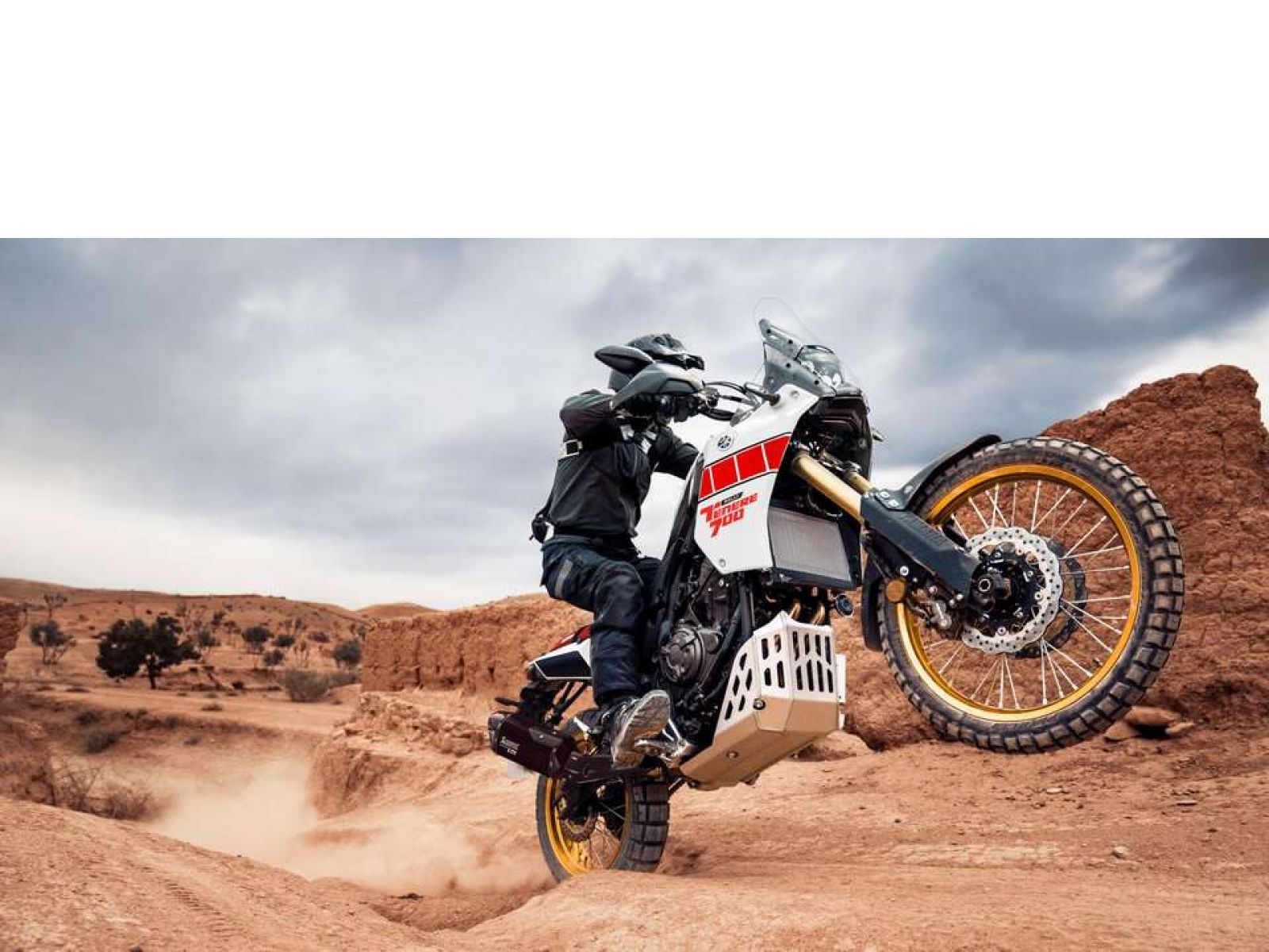 Мотоцикл YAMAHA Tenere 700 Rally Edition (Heritage White) 2023