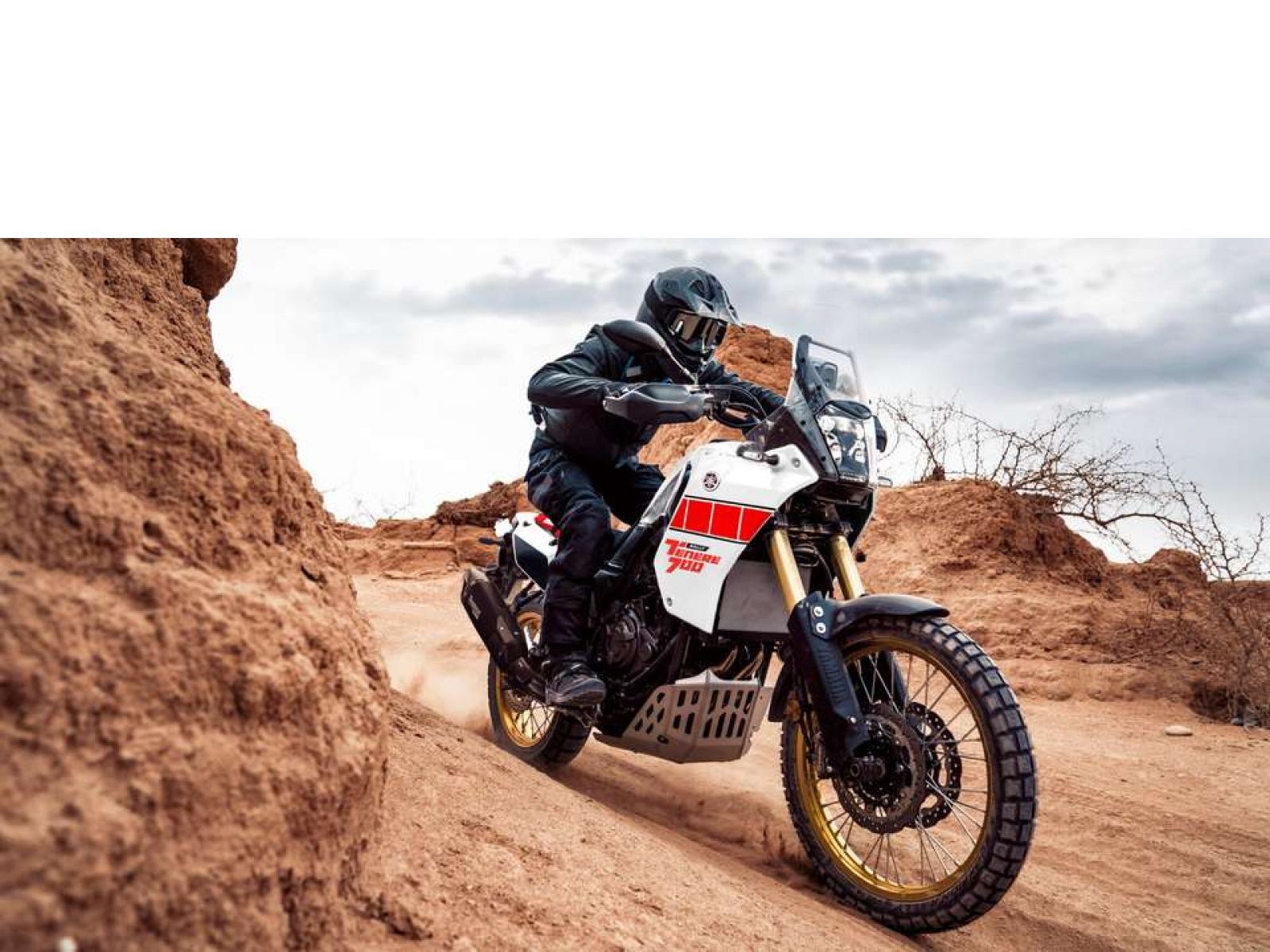 Мотоцикл YAMAHA Tenere 700 Rally Edition (Heritage White) 2023