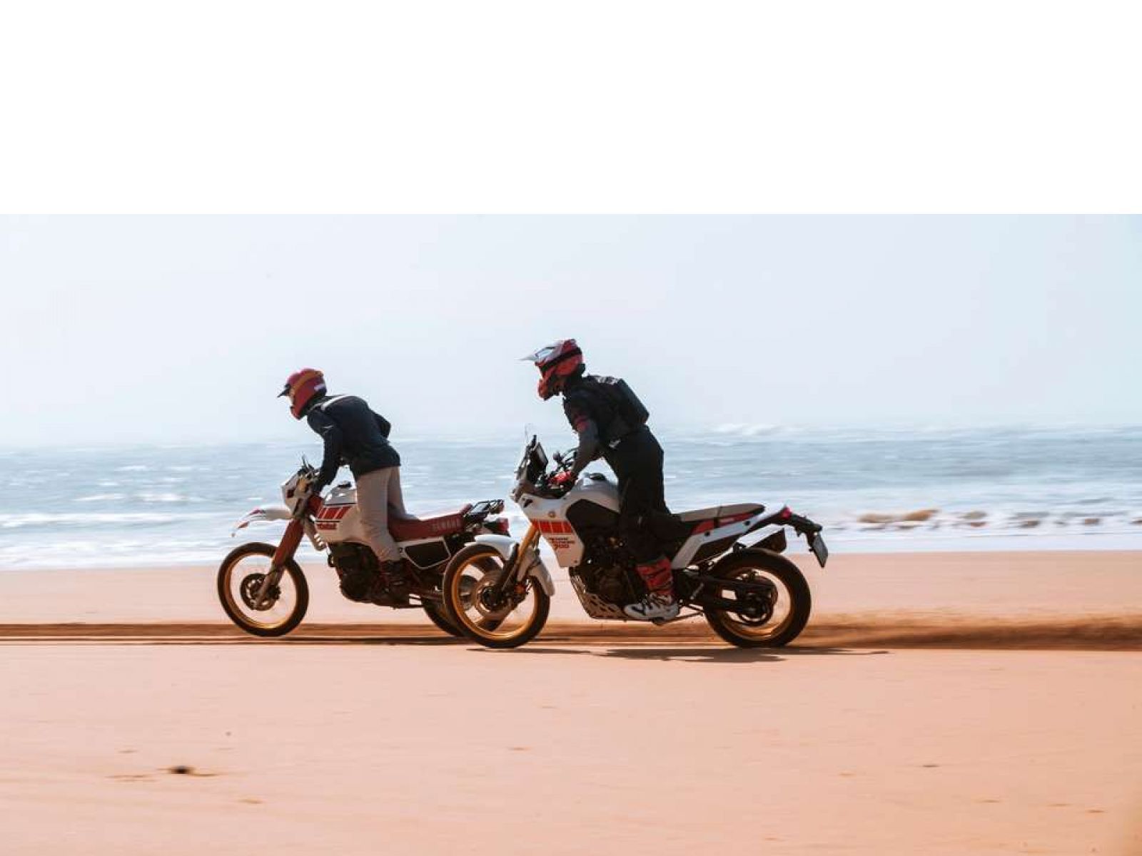 Мотоцикл YAMAHA Tenere 700 Rally Edition (Heritage White) 2023