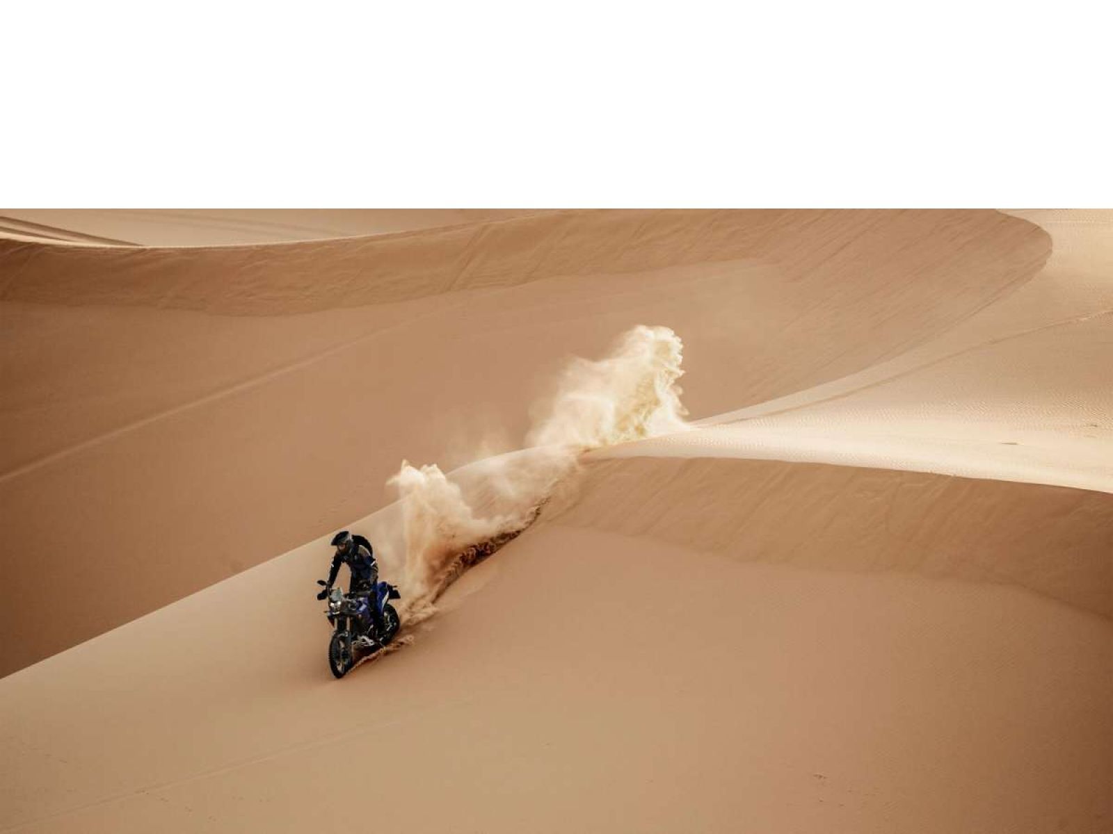 Мотоцикл YAMAHA Tenere 700 World Raid (Blue) 2023