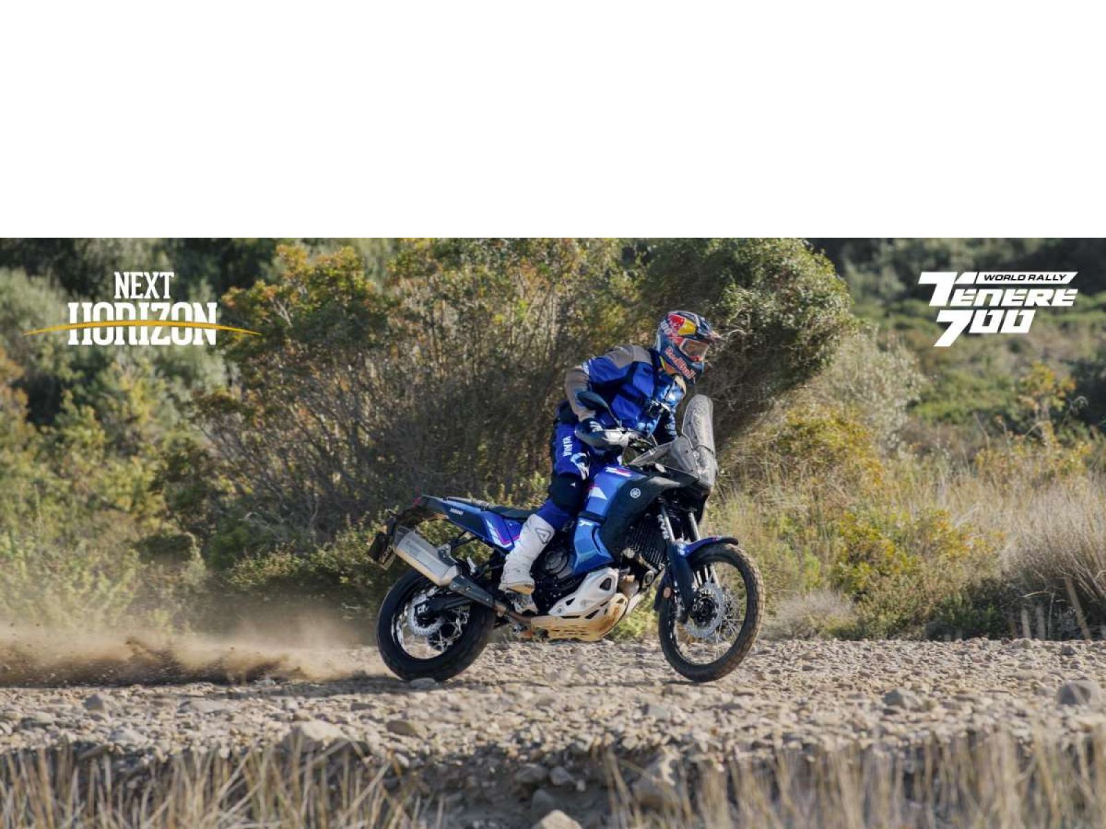 Мотоцикл YAMAHA Tenere 700 World Rally (Blue) 2023